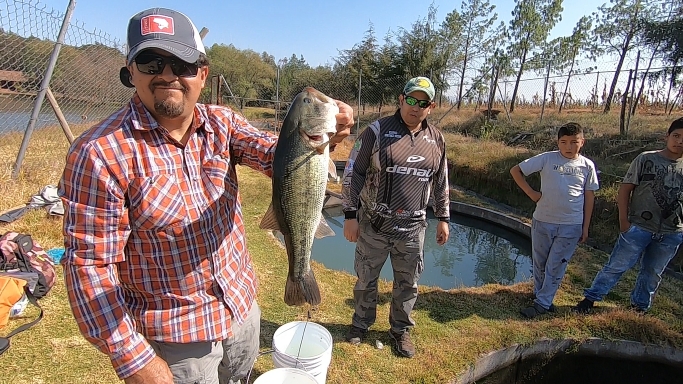 Captura de pantalla (751).png